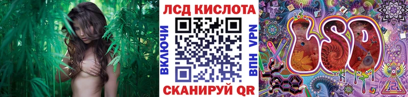 Наркотические марки 1500мкг Опочка